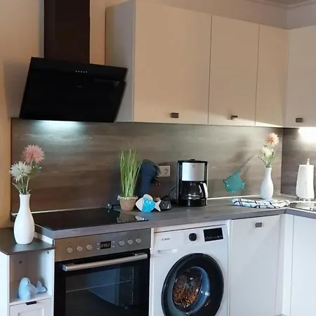Kleine Kegelrobbe Lejlighed Burhave