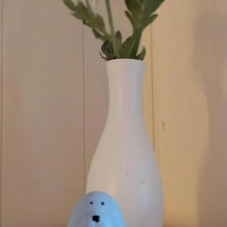 Kleine Kegelrobbe Burhave