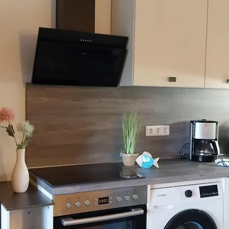 Kleine Kegelrobbe Burhave