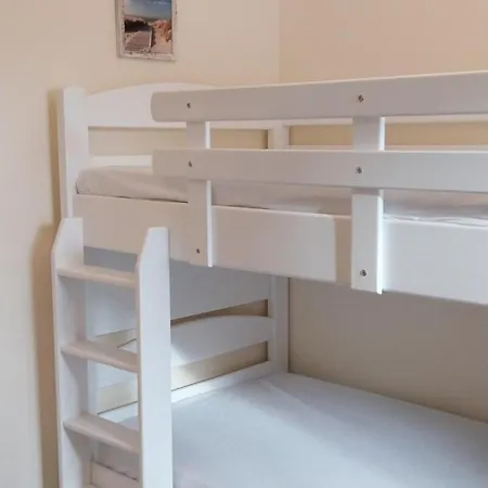 Kleine Kegelrobbe *