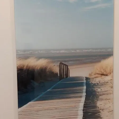 Kleine Kegelrobbe * Burhave