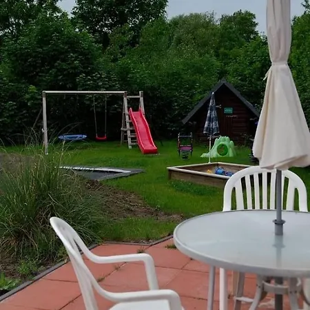 Kleine Kegelrobbe *