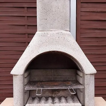 Kleine Kegelrobbe * Burhave