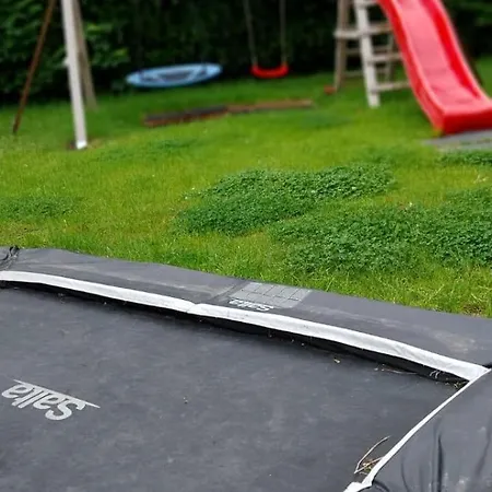 Kleine Kegelrobbe * Burhave